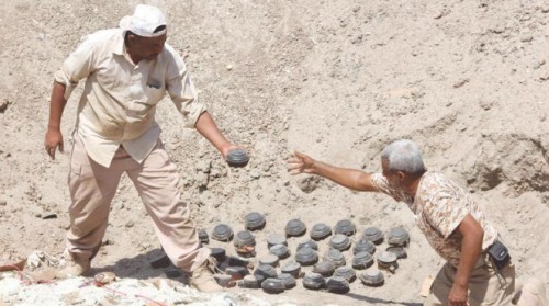 الحكومة تطالب المليشيا الحوثية بخرائط الألغام