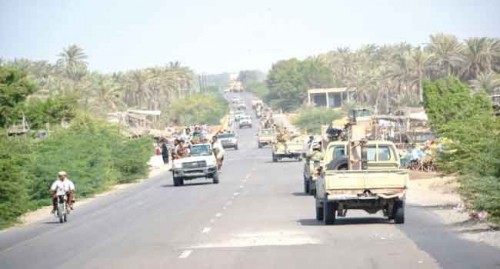 مليشيات الحوثي تفخّخ الحديدة بالألغام