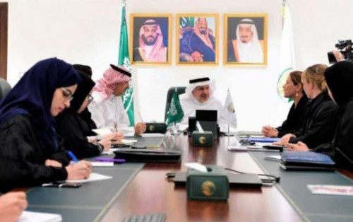 مركز الملك سلمان يبحث التعاون مع منسقة الشؤون الإنسانية باليمن