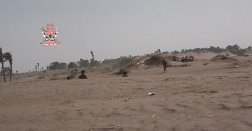 بقذائف الهاون والآر بي جي.. مليشيات الحوثي تستهدف مواقع العمالقة في الجبلية بالحديدة 