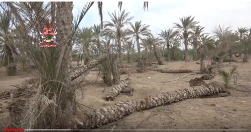 رواية مبكية لمزارع دمرت المليشيات منزله ومزرعته في التحيتا بالحديدة (فيديو)