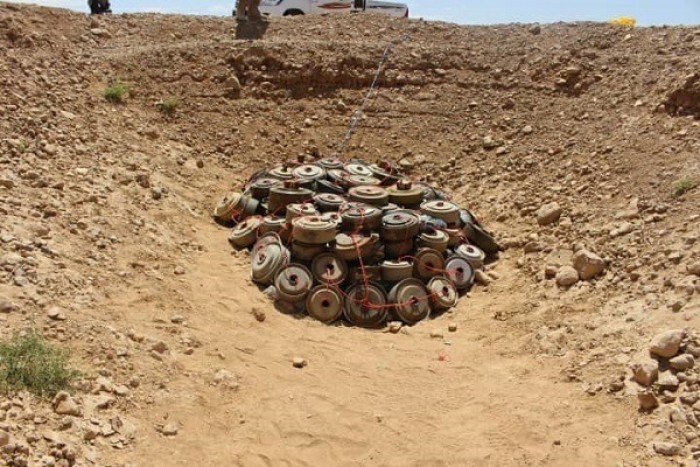 مسام ينتزع مئات الألغام الحوثية في الجوف
