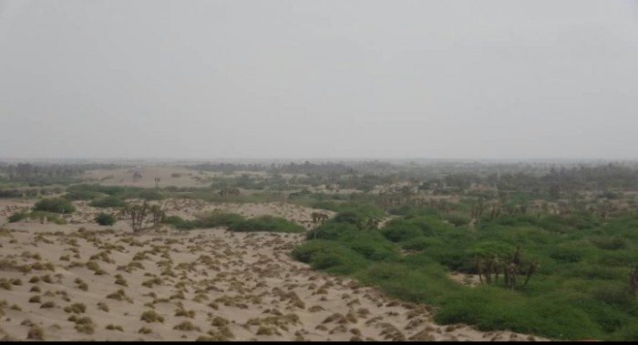 مليشيا الحوثي الإرهابية تفتح نيران أسلحتها على مواقع الجبلية