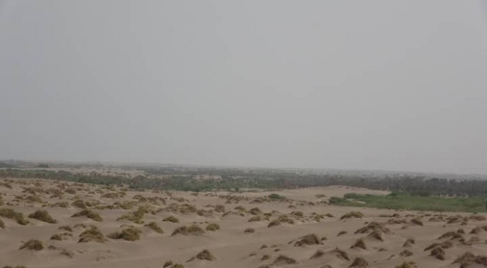 إرهاب حوثي جديد..المليشيات تقصف مواقع المشتركة في الجبلية بالحديدة