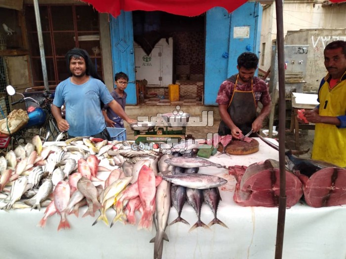 أسعار الأسماك تقفز في أسواق أبين   