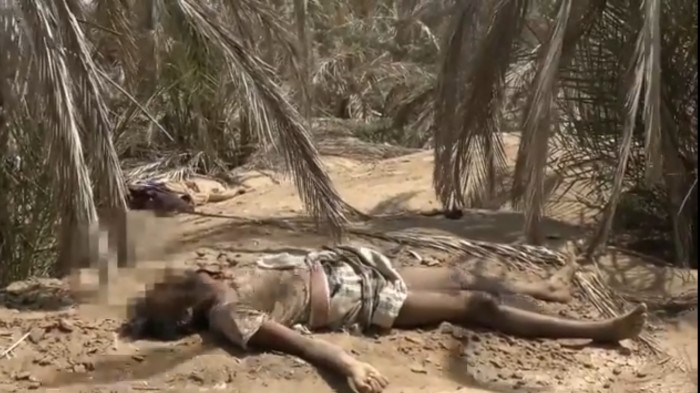 بالفيديو..مليشيات الحوثي تترك جثث قتلاها في منطقة الجاح بالحديدة