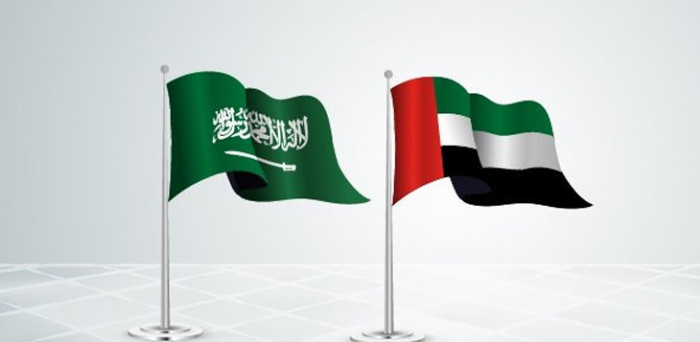 السعودية والإمارات تحشدان دوليا لإنقاذ العملة المحلية 