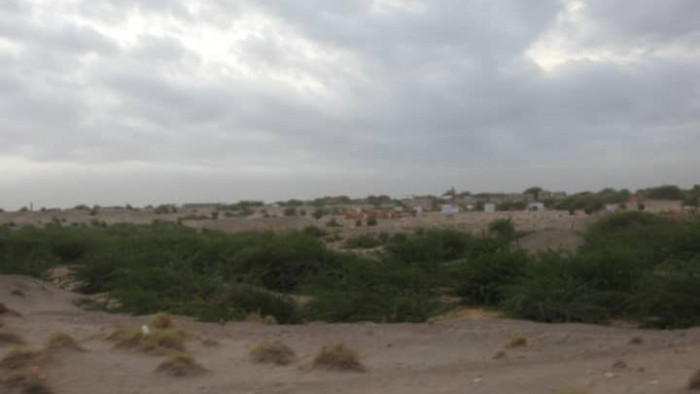 مليشيا الحوثي تُجدد قصفها لمنازل الجبلية