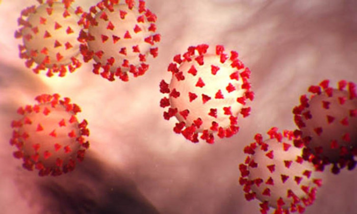 لجنة كورونا تسجل 36 إصابة في عدن وحضرموت وشبوة